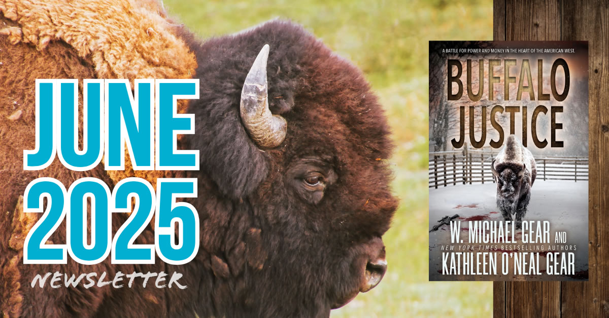 Buffalo Justice Book Cover